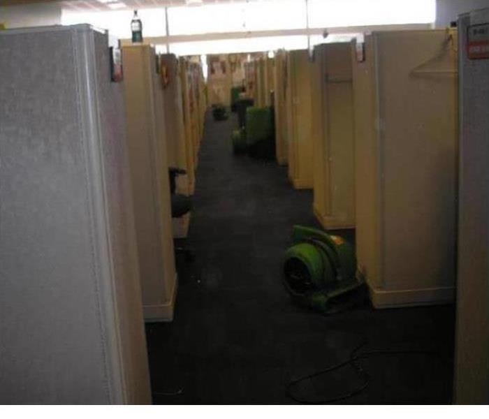 Carpeted floor in office building with green drying equipment in place