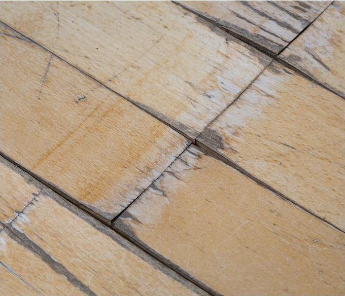 a zoomed in view of a wooden floor showing signs of water damage