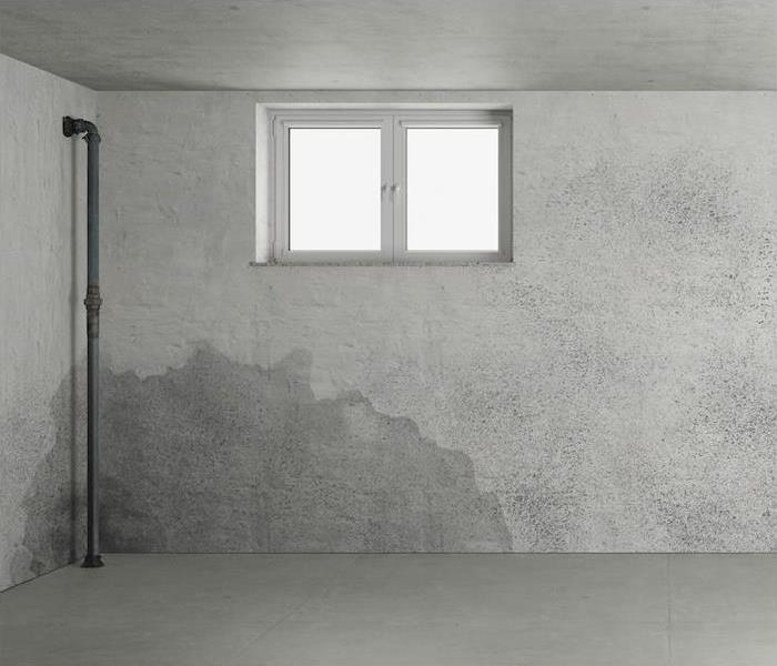 a grey basement showing signs of water damage