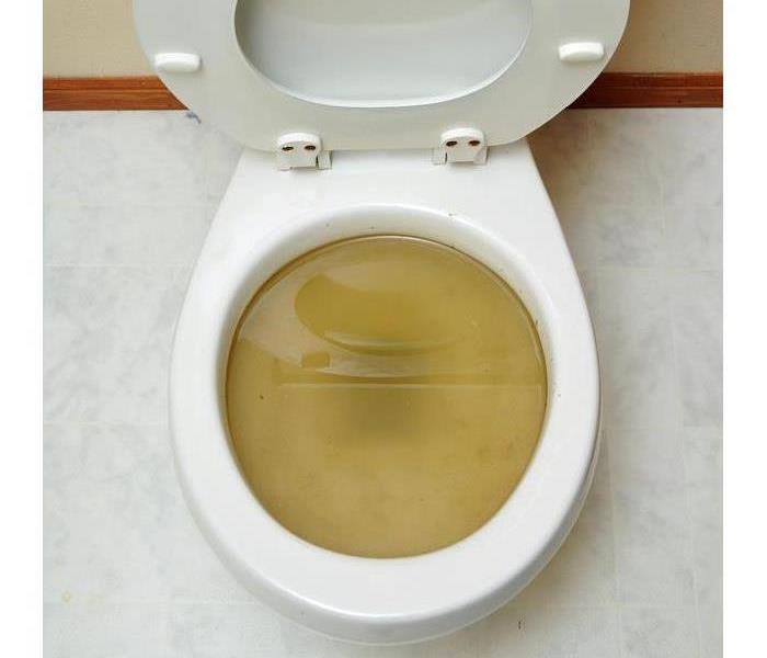 Overflowing broken toilet