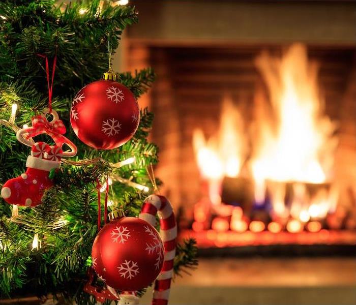 a small Christmas tree in front of a burning fireplace 